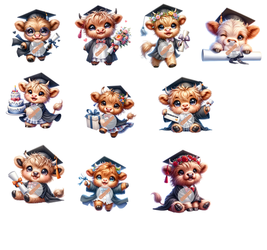 Geplottete Gratulation Kühe